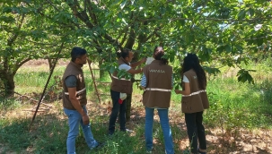 Sarıgöl'de tuzak kontrolleri yapıldı