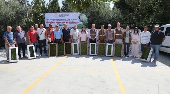 Soma'da üreticilere marul fidesi dağıtıldı