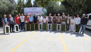 Soma'da üreticilere marul fidesi dağıtıldı