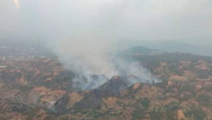 Turgutlu'da orman yangını