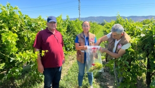 Ürünlerde recetesiz ilaç kullanımı önleme çalışması