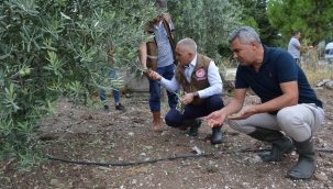 Akhisar'da hasar tespit çalışmaları başladı