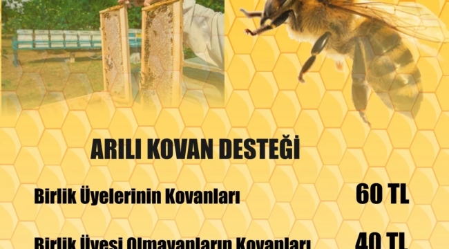 Arı üreticilerine müjde