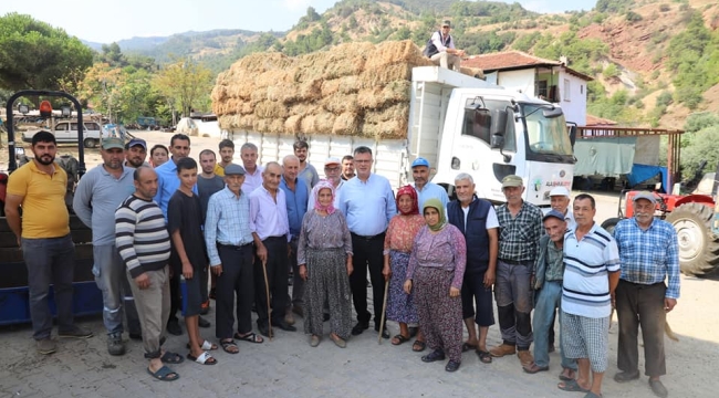 Belediye hayvan üreticilerine yonca dağıttı