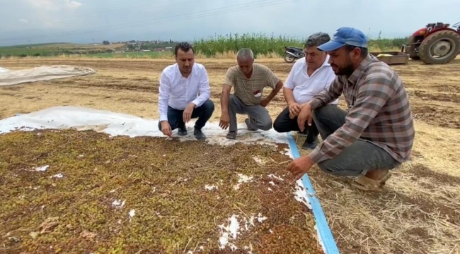 CHP'li Başevirgen"Tariş açıkladı TMO neyi bekliyor?''