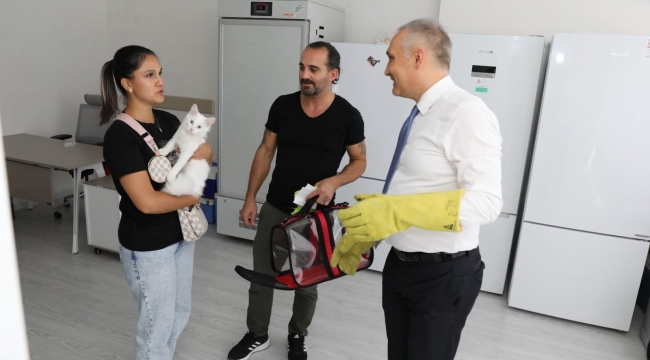 Kedi ve köpeklere kuduz aşısı ve cıp uygulaması