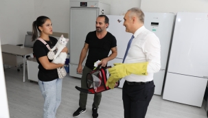 Kedi ve köpeklere kuduz aşısı ve cıp uygulaması