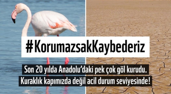 Kuraklık acil durum seviyesinde
