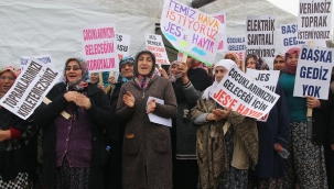 Manisa'da üzümcülüğü bitirecek yeni JES ihalesi