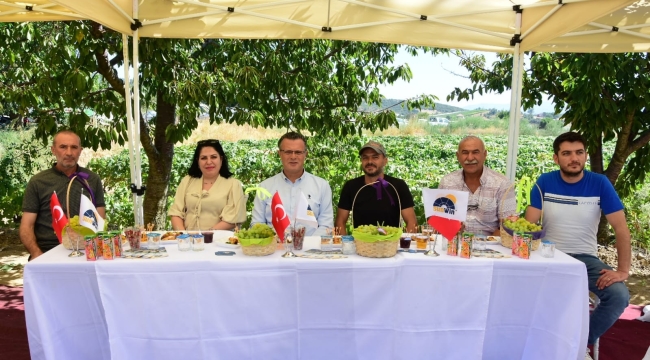 Modern bağ ve bahçe örtü toplantısı