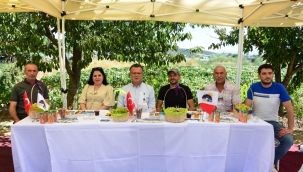 Modern bağ ve bahçe örtü toplantısı