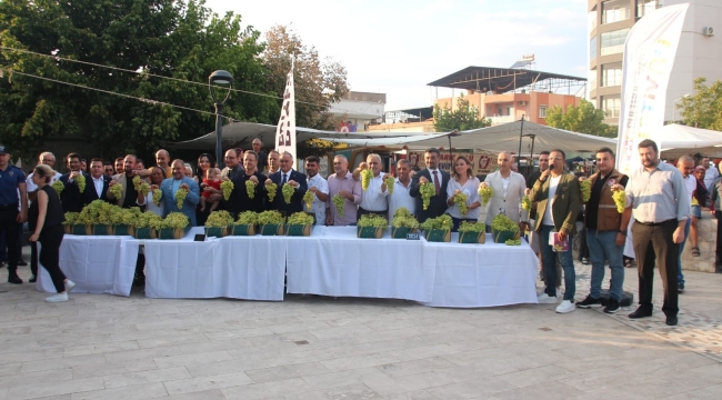 Sarıgöl üzüm festivali renkli görütülere sahne oldu