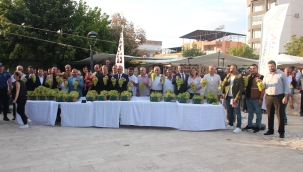 Sarıgöl üzüm festivali renkli görütülere sahne oldu