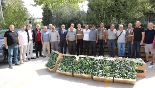Soma,Gördes, Demirci ve Kula'da üreticilere enginar fidesi dağıtıldı