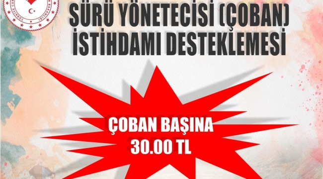 Sürü yöneticisi isthdam şartları açıklandı
