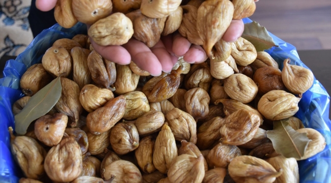 Tariş kuru incir alım fiyatını açıkladı