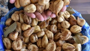 Tariş kuru incir alım fiyatını açıkladı