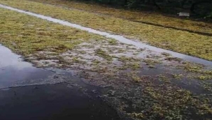 Üreticiyi birde yağmur vurdu