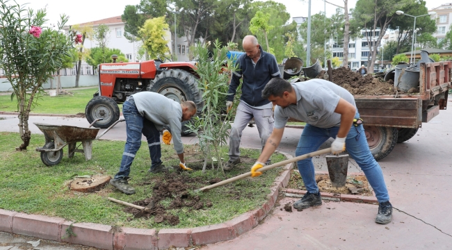 Atatürk parkına 4471 fidan dikildi
