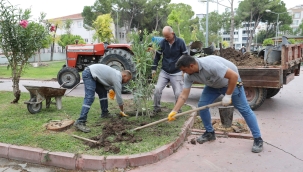 Atatürk parkına 4471 fidan dikildi