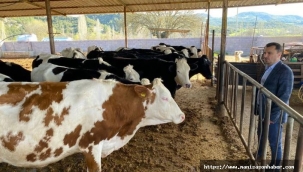 CHP'li Başevirgen'Başka ülkelere bedelsiz et mi göderiliyor'?diye sordu