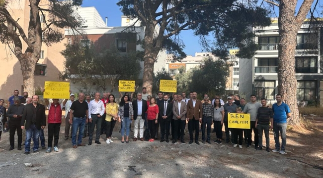 Asırlık ağaçlara CHP'liler sahip çıktı