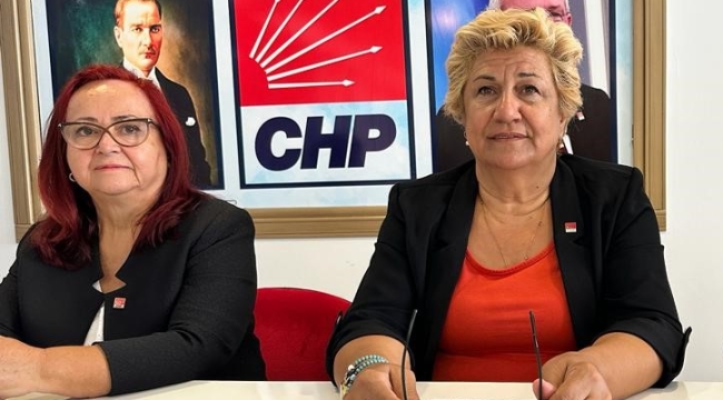 CHP'liler Dünya gezeteciler günü kutladı