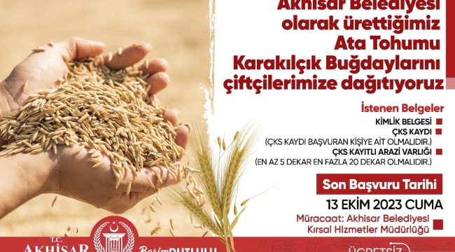 Çiftçilere ücretsiz ata tohumu buğday dağıtımı