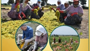 Dünya çiftçi kadınlar günü kutlu olsun