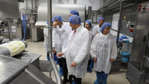 Et süt ve yumurta üretin alanlarının denetimi sürüyor