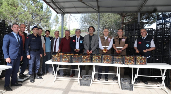 Hünnap üretimi kapama bahçe sistemiyle arttı