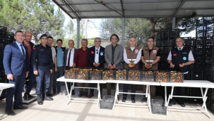 Hünnap üretimi kapama bahçe sistemiyle arttı