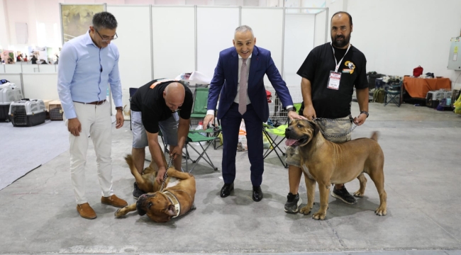 Müdür Öztürk fuarları gezdi