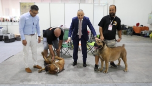 Müdür Öztürk fuarları gezdi