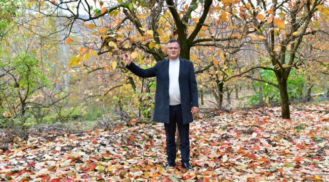 Alaşehir'den kartpostalık sonbahar görüntüleri