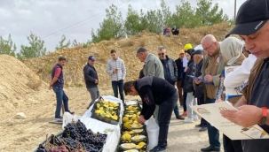 Gördes'te üzüm ve ayva şenliği
