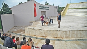 Köpekli afet eğitimi