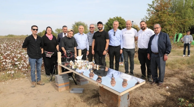 Organik pamuk hasadı başladı