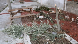 Saruhanlı'da vandalizm hortladı