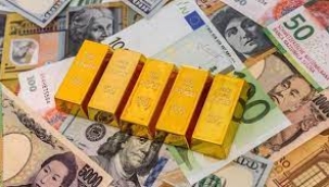 Yatırımcısının yüzünü en fazla altın güldürdü