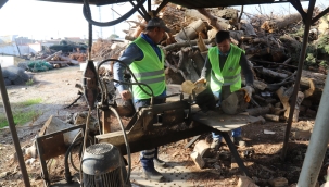 Belediyeden yoksul vatandaşlara yakacak yardımı