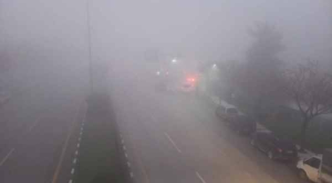 Manisa'da sis etkili oldu