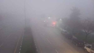 Manisa'da sis etkili oldu