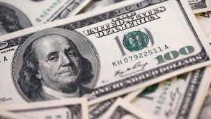 TCMB anketi: 2024 sonu dolar beklentisi yükseldi