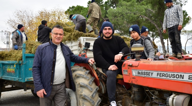 Başkan hayvan üreticilerine ücretsiz yonca dağıttı