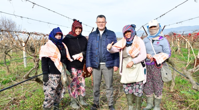 Başkan Öküzcüoğlu bağlarda çalışanları ziyaret etti