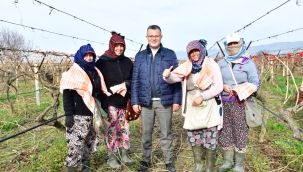 Başkan Öküzcüoğlu bağlarda çalışanları ziyaret etti