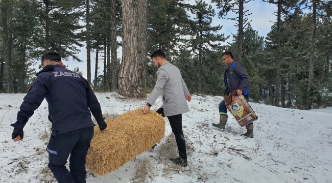 Demirci'de doğada yaşayan canlılar için yiyecek bırakıldı