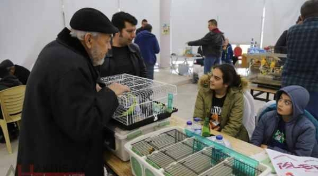 Festival'de 'kuş bilgisi ve sevgisi' işlendi