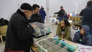 Festival'de 'kuş bilgisi ve sevgisi' işlendi